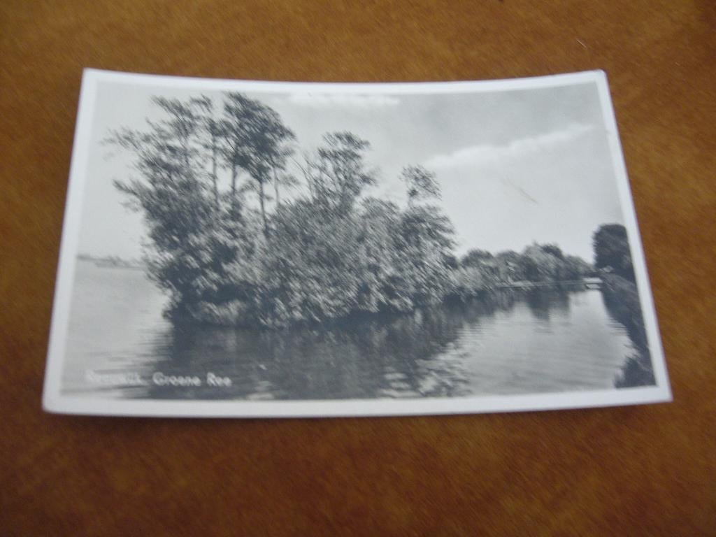 REEUWIJK  =  GROENE REE, Verzamelen, Ansichtkaarten | Nederland, Ophalen of Verzenden, 1940 tot 1960, Gelopen, Zuid-Holland