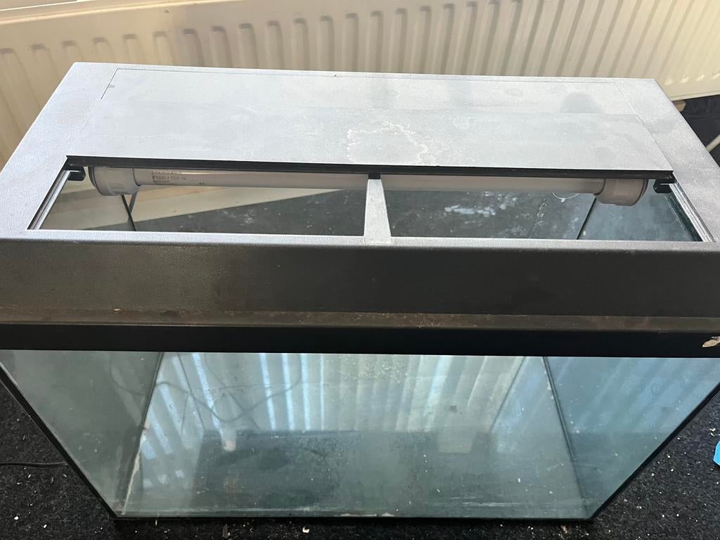 Aquarium incl licht van het merk Juwel, Dieren en Toebehoren, Vissen | Aquaria en Toebehoren, Ophalen, Gebruikt, Leeg aquarium