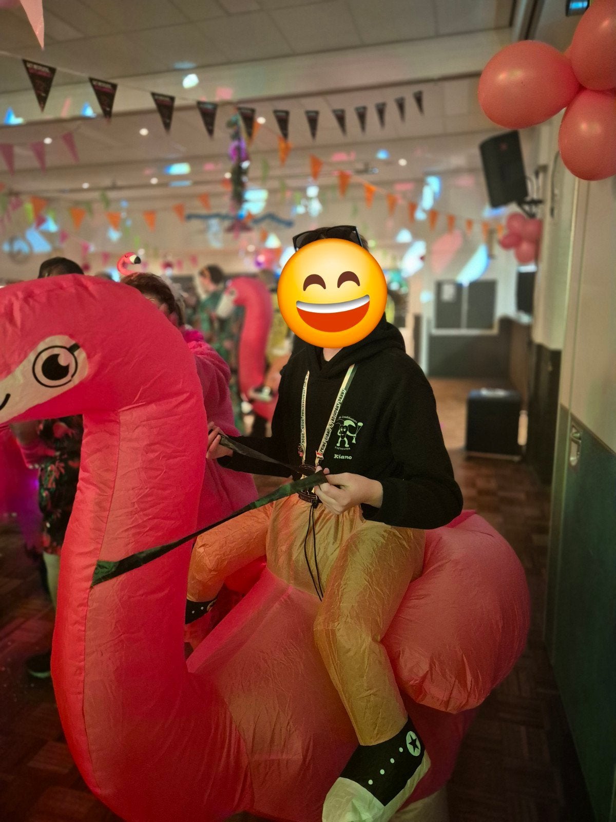 Opblaasbaar Flamingo Kostuum, Ophalen, Zo goed als nieuw, Toneelattributen of Onderdelen