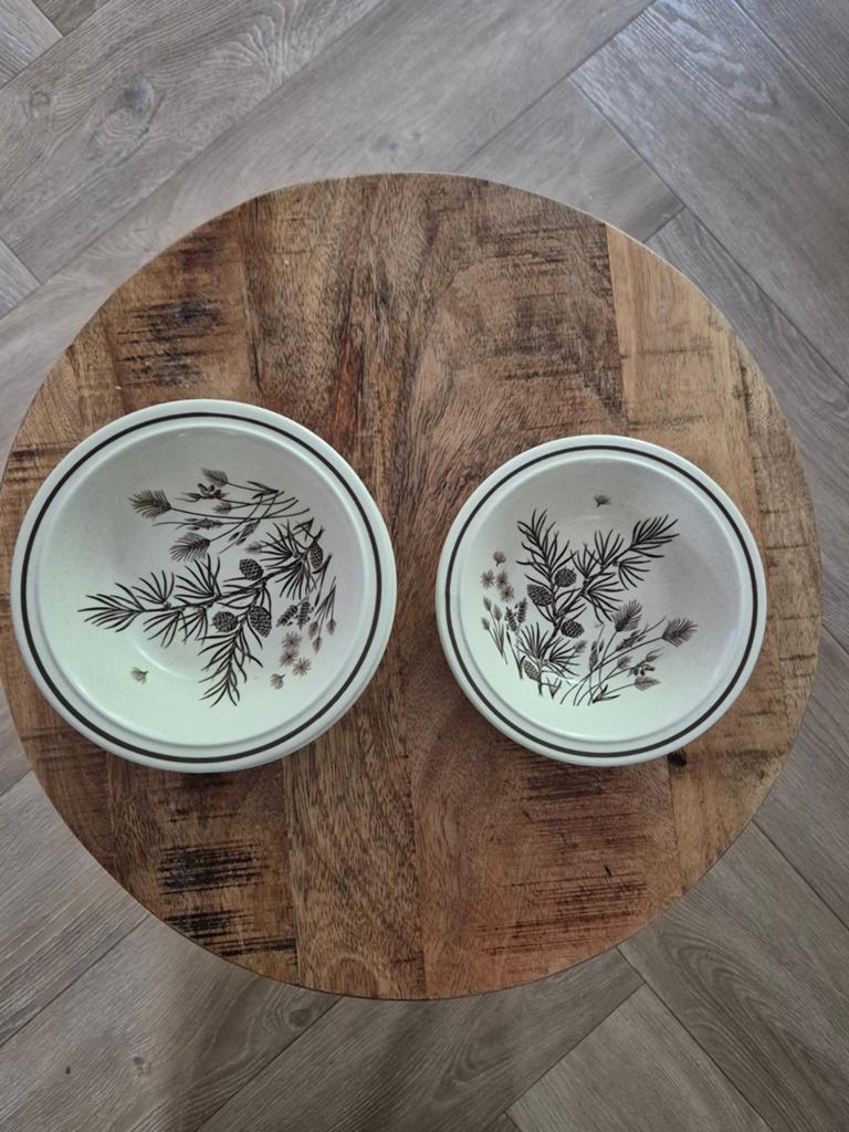 9 schoteltjes van pinewood., Ophalen of Verzenden