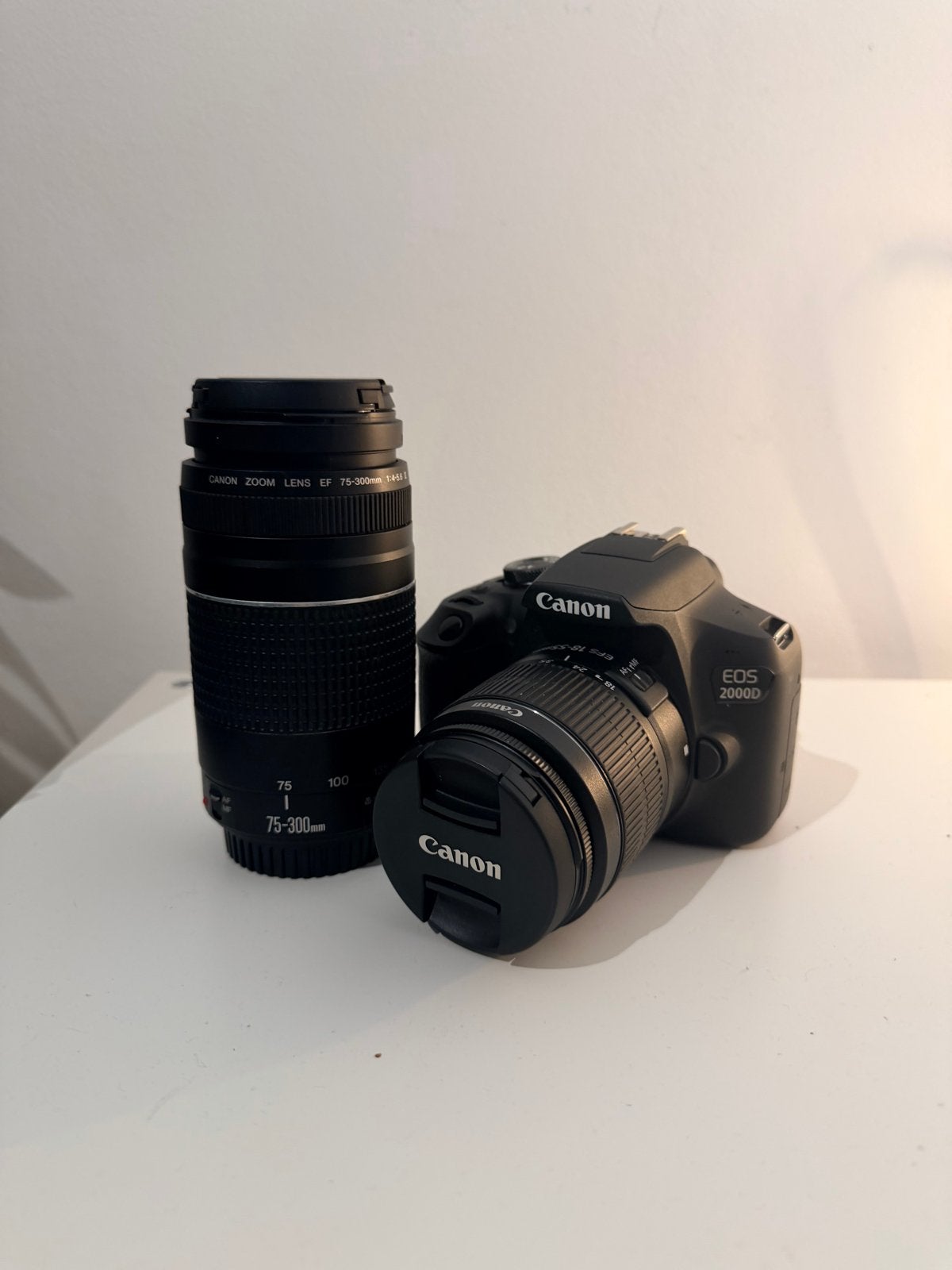 Canon EOS 2000D met 2 lenzen en accessoires, Ophalen of Verzenden, Zo goed als nieuw