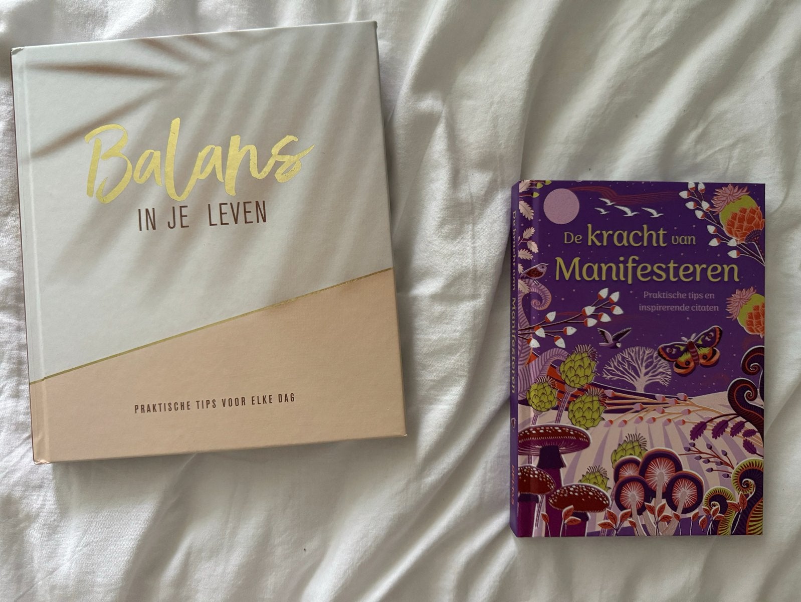 Boeken: Balans in je Leven & De Kracht van Manifesteren, Ophalen of Verzenden, Nieuw