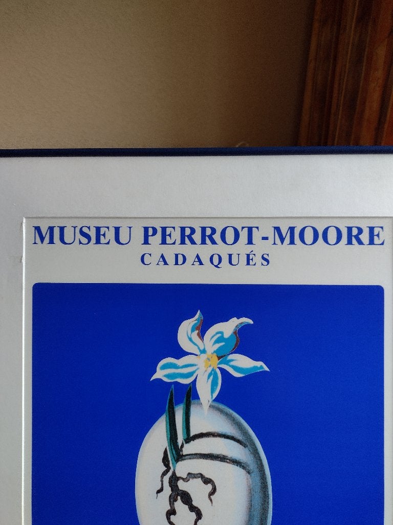 Poster Museum Perrot Moore, Ophalen of Verzenden, Zo goed als nieuw, A1 t/m A3, Overige onderwerpen