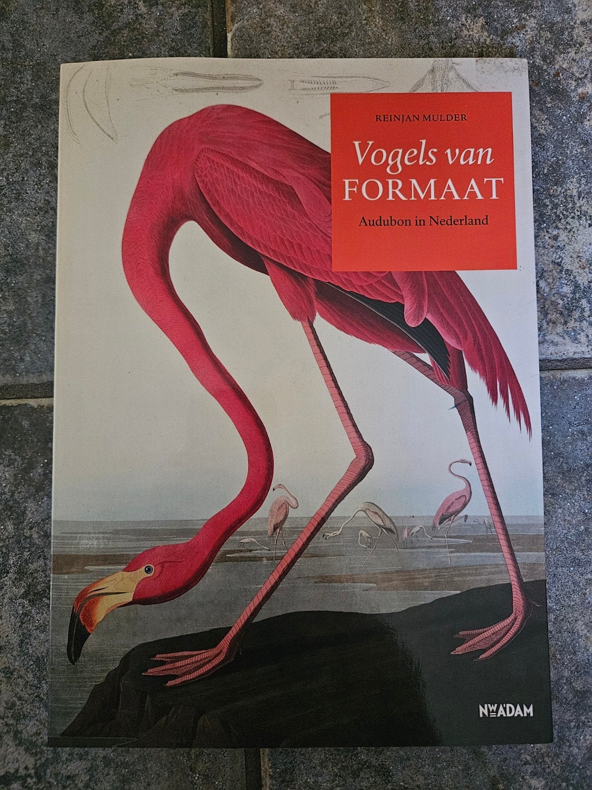 Vogels van Formaat: Audubon in Nederland - Reinjan Mulder, Ophalen of Verzenden, Zo goed als nieuw, Vogels, Reintjan Mulder