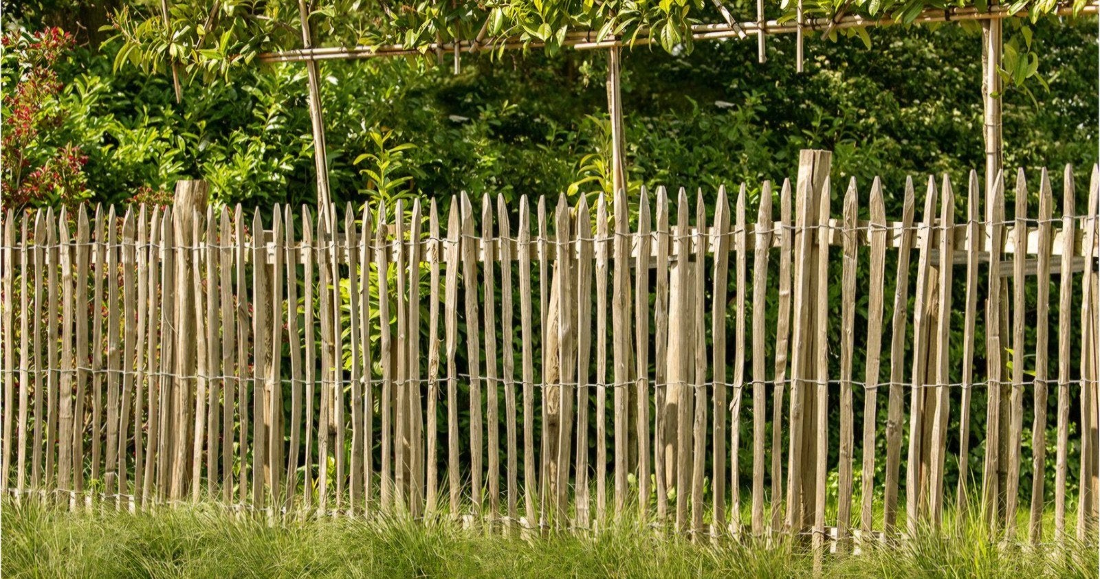 GEZOCHT: Gebruikte schapenhek van ongeveer 4 meter, Ophalen, Gebruikt, Hout, Tuinhek