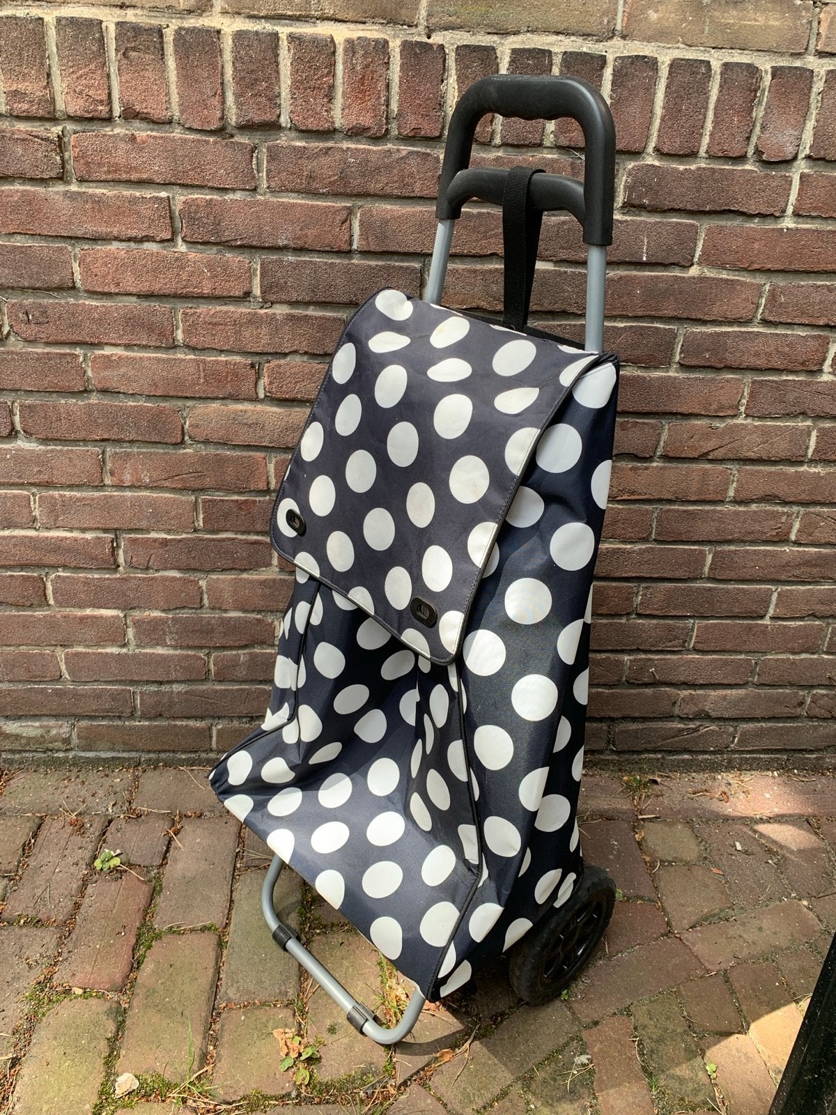 Boodschappentrolley, Sieraden, Tassen en Uiterlijk, Tassen | Reistassen en Weekendtassen, Ophalen, Zo goed als nieuw, Zwart, 30 cm of meer