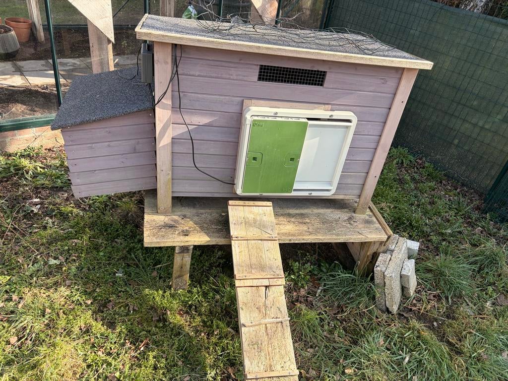 Kippenhok met elektrische deur, Dieren en Toebehoren, Pluimvee | Toebehoren, Ophalen of Verzenden, Kippenhok of Kippenren