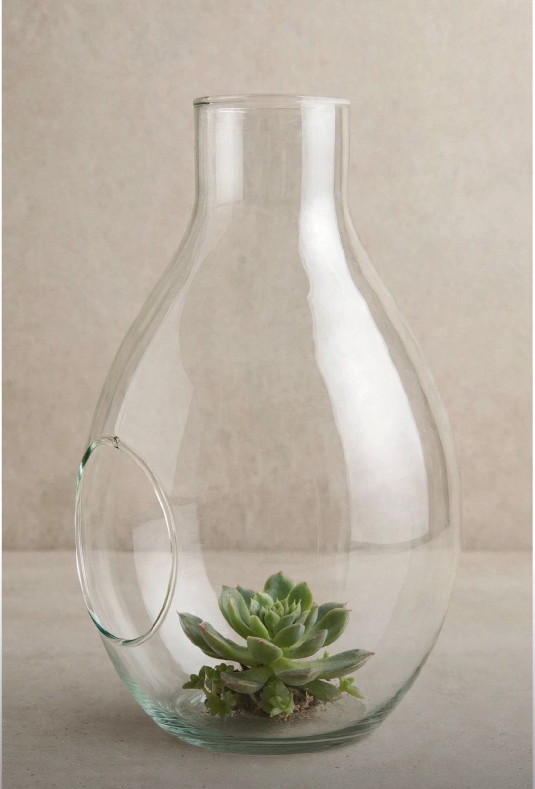 Glazen Terrarium Vaas met Opening - Perfect voor Succulenten, Ophalen of Verzenden, Nieuw, Transparant, Glas