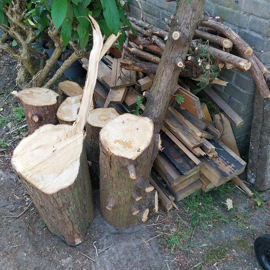 Diverse Houtblokken en Takken voor Brandhout, Tuin en Terras, Haardhout, Minder dan 3 m³, Ophalen, Overige houtsoorten, Blokken