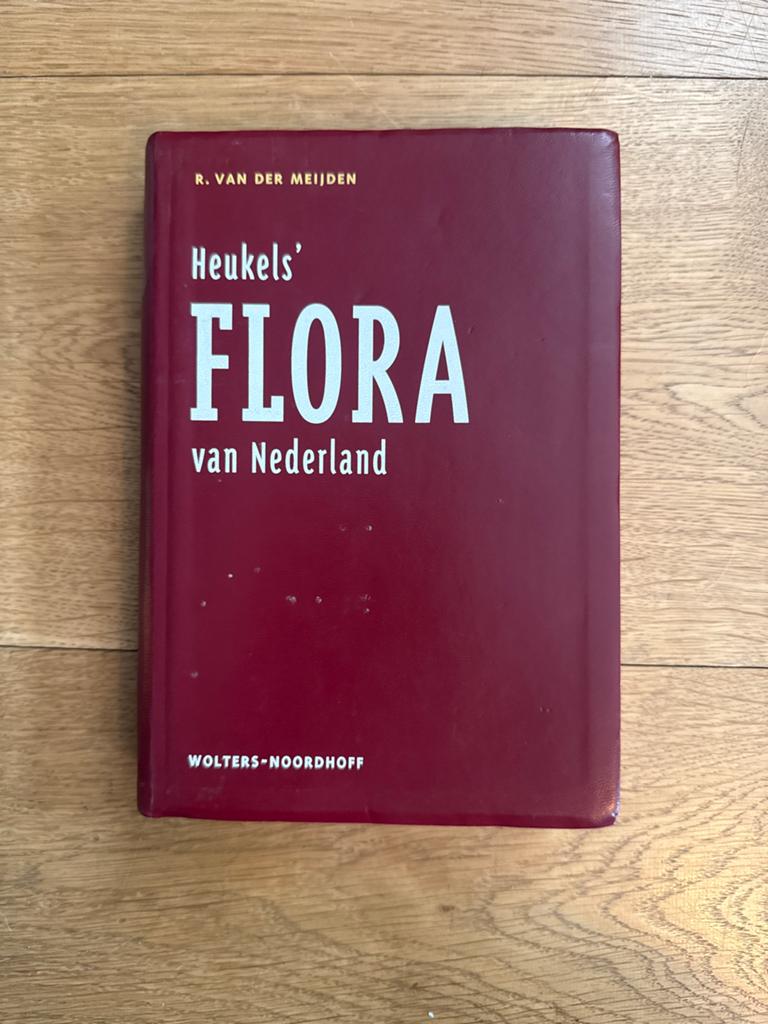 Heukels' Flora van Nederland - R. van der Meijden, Boeken, Natuur, Ophalen of Verzenden, Gelezen, Bloemen, Planten en Bomen