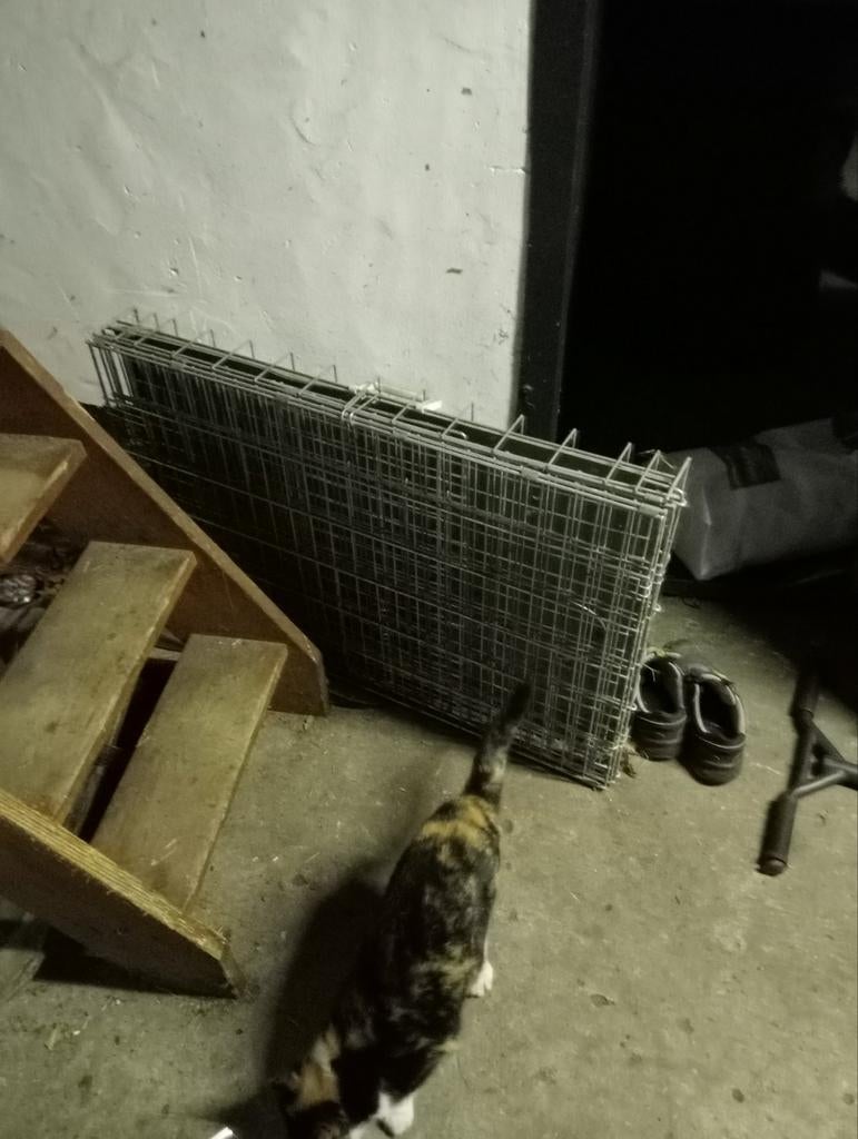 Bench hond kat, Dieren en Toebehoren, Ophalen of Verzenden, Zo goed als nieuw, Minder dan 75 cm, Minder dan 65 cm