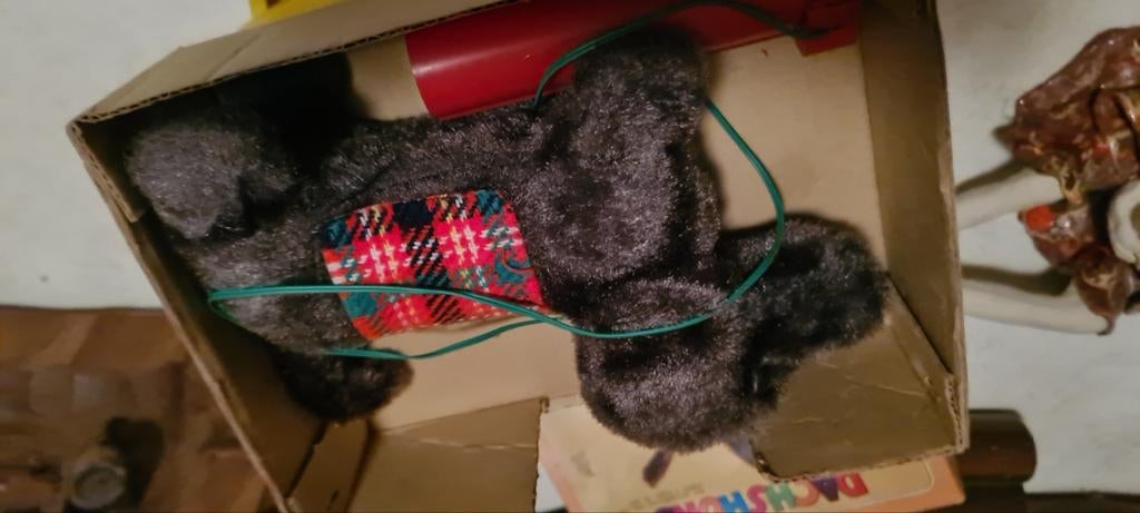 Hondje, Ophalen, Huis en Inrichting