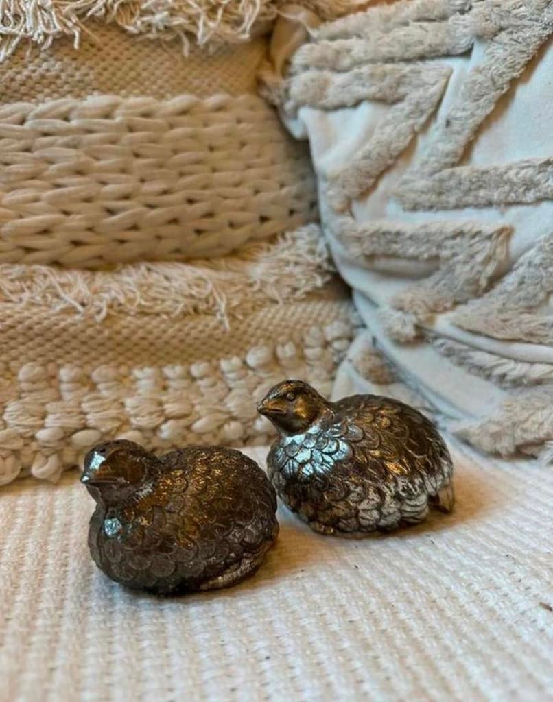Landelijke zout en peper stel van kippen zilverkleurig, Ophalen of Verzenden, Zo goed als nieuw