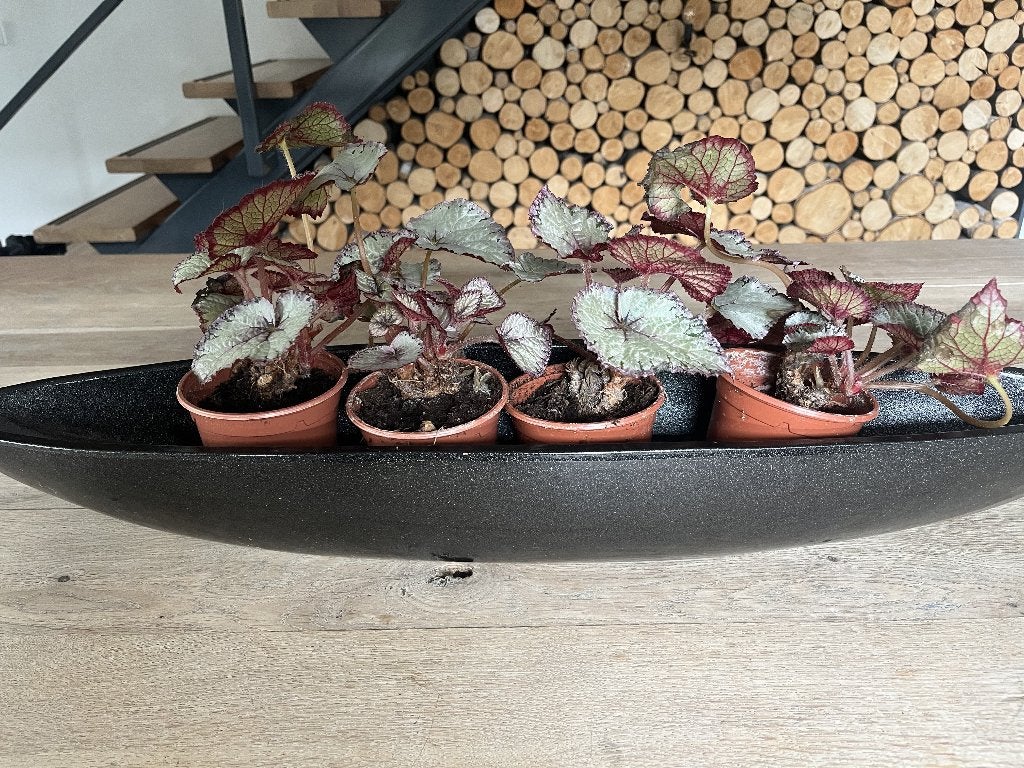 Twee megagrote bloempotten plantenbakken ovaal schuit 81 cm, Overige materialen, Binnen, Ophalen of Verzenden, Zo goed als nieuw