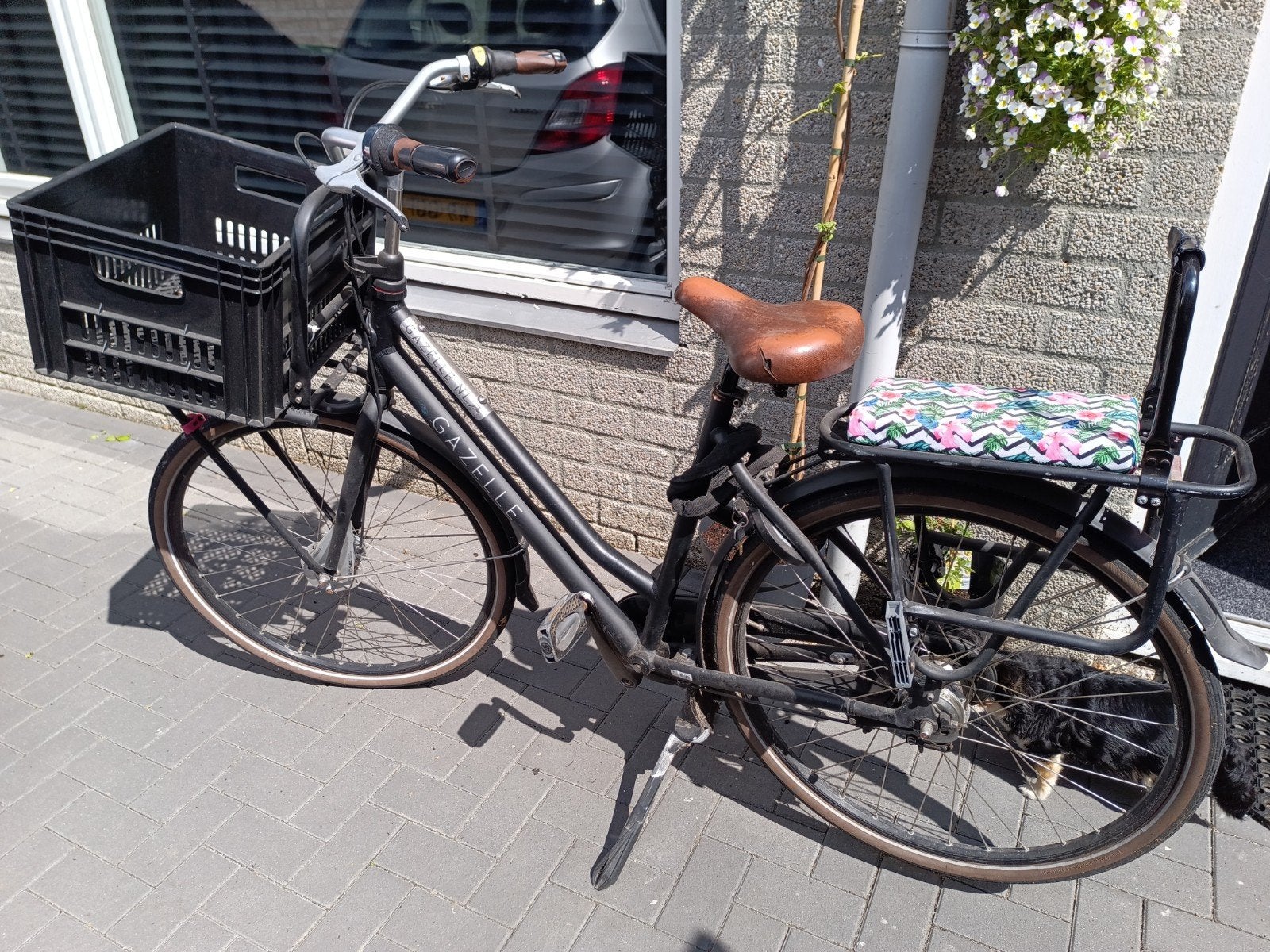 Gazelle stadsfiets met voordrager en kinderzitje, Ophalen, 53 tot 56 cm, Versnellingen, Zo goed als nieuw