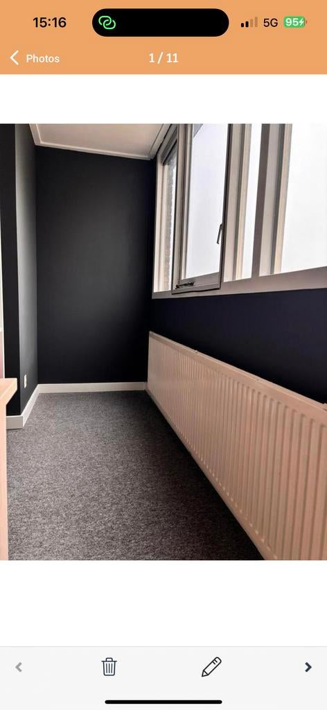 Foto 7 van Professioneel schilderwerk | Houtrestauratie | Airless |