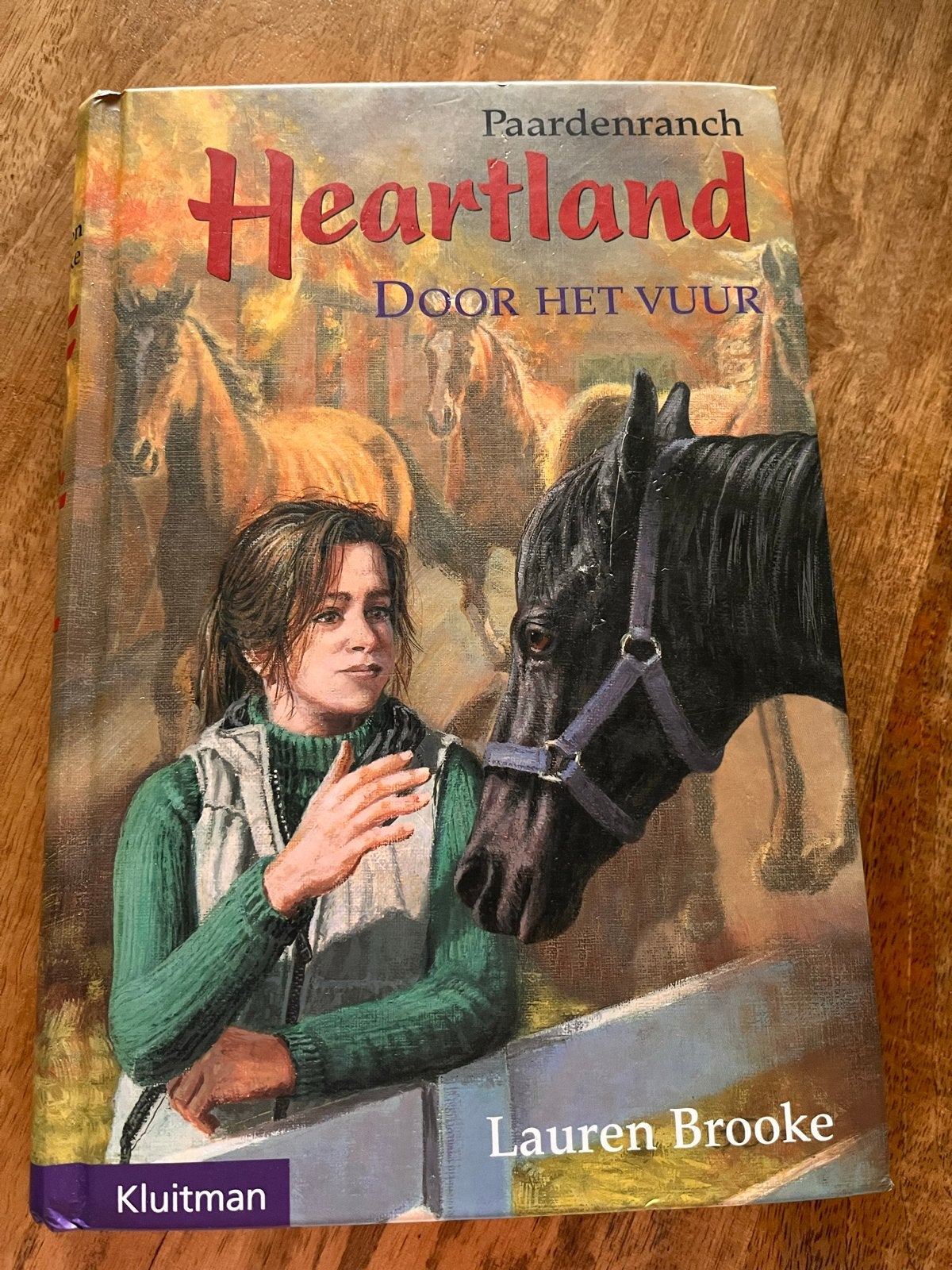 Heartland: Door het Vuur, Ophalen of Verzenden, Gelezen, Fictie