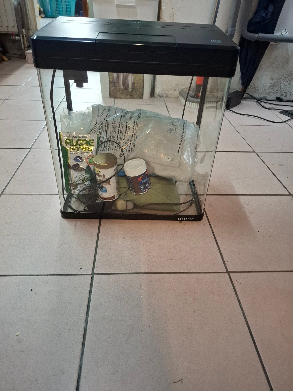 aquarium, Vis