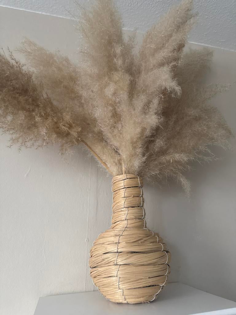 Pluimen in bamboe vaasje, Overige materialen, Overige kleuren, 50 tot 75 cm, Ophalen of Verzenden
