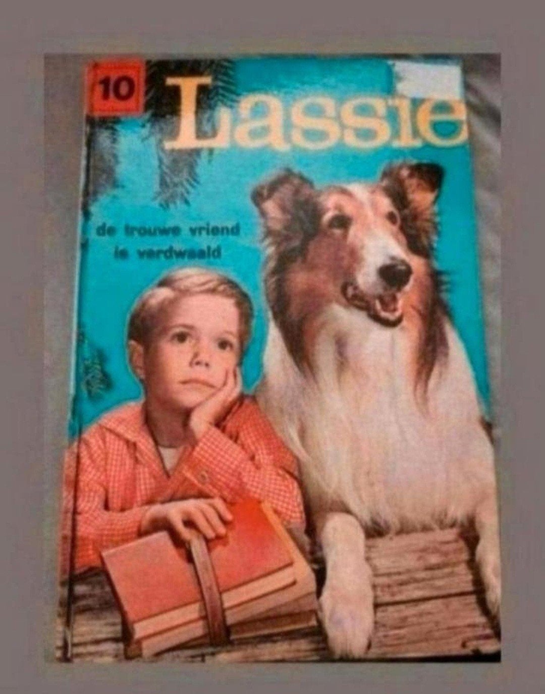 Lassie: De Trouwe Vriend is Verdwaald (Nr. 10), Boeken, Ophalen of Verzenden, Gelezen, Eric Knight, Fictie algemeen