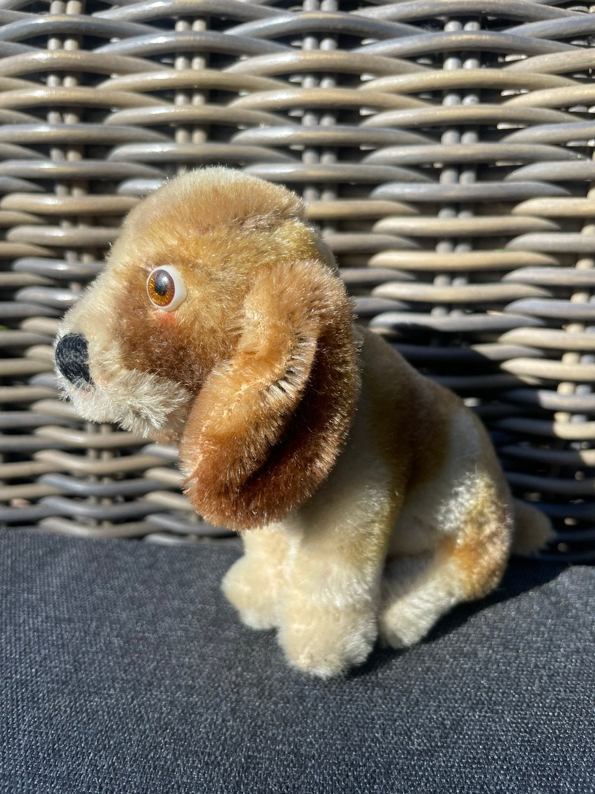 Steiff Basset 60-er jaren, Gebruikt, Klein (minder dan 20 cm), Beige, Hond