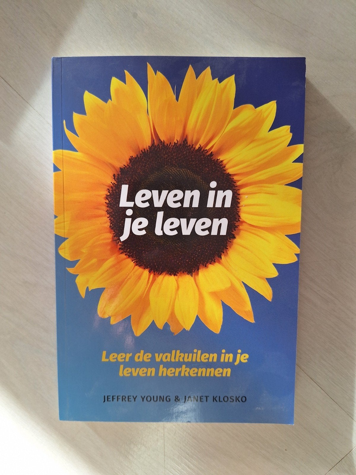 Leven in je leven – Jeffrey Young & Janet Klosko, Boeken, Ophalen of Verzenden
