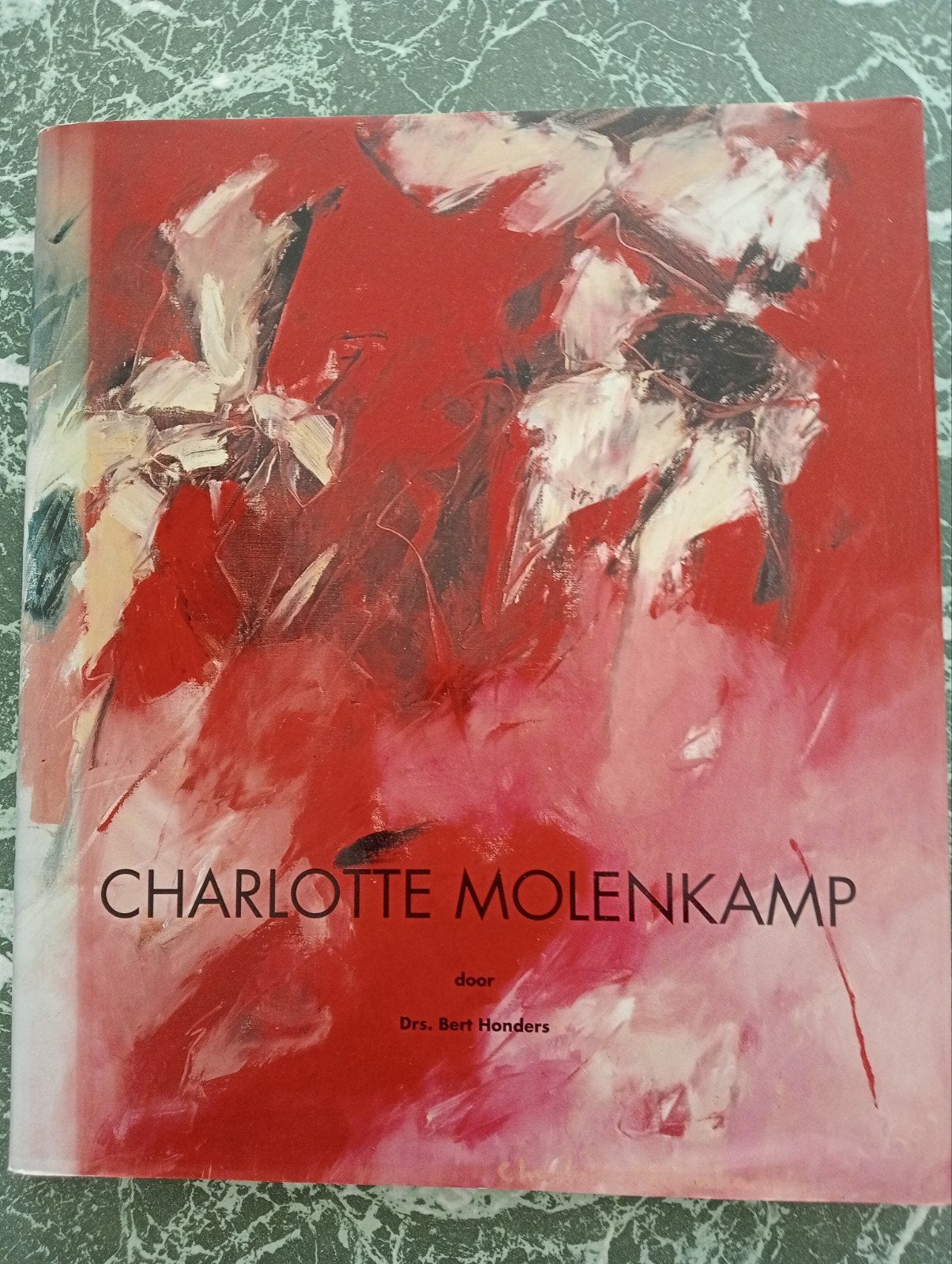 Charlotte Molenkamp Kunstboek - Drs. Bert Honders, Boeken, Ophalen of Verzenden, Gelezen, Schilder- en Tekenkunst, Drs. Bert Honders