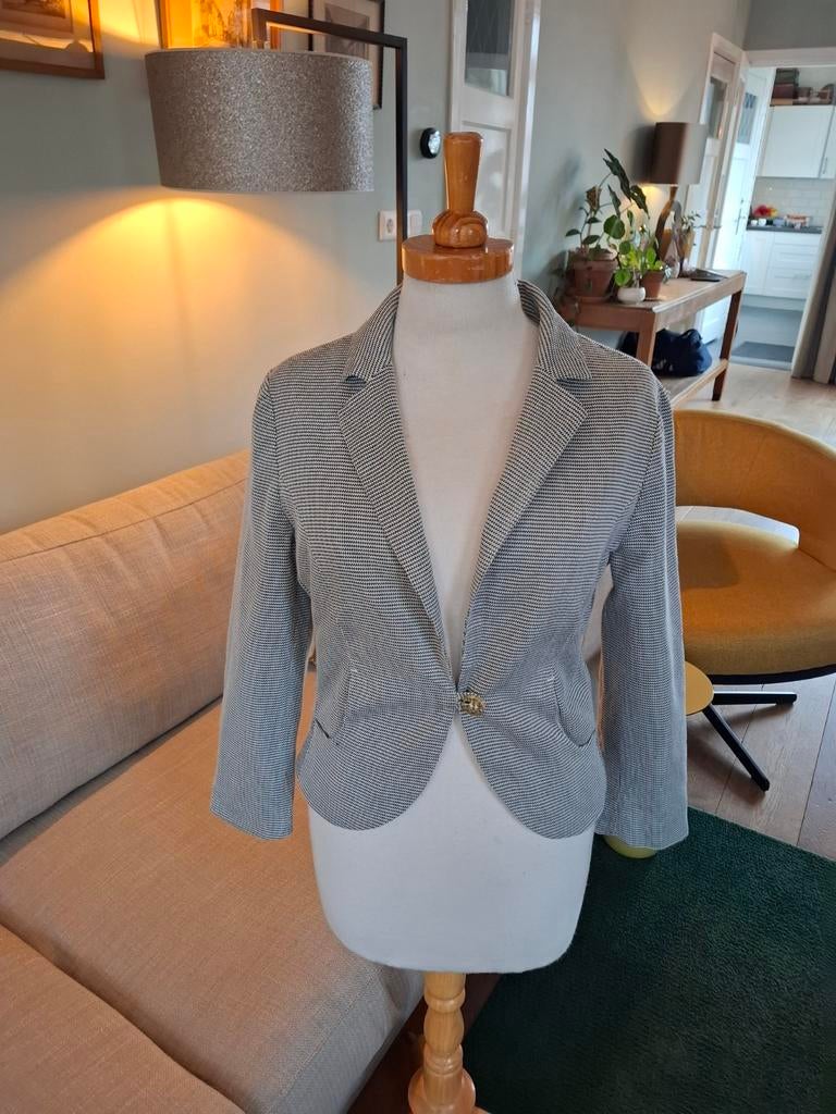 Blazer van Vanilia maat S, Kleding | Dames, Maat 38/40 (M), Vanilia, Ophalen of Verzenden, Zo goed als nieuw