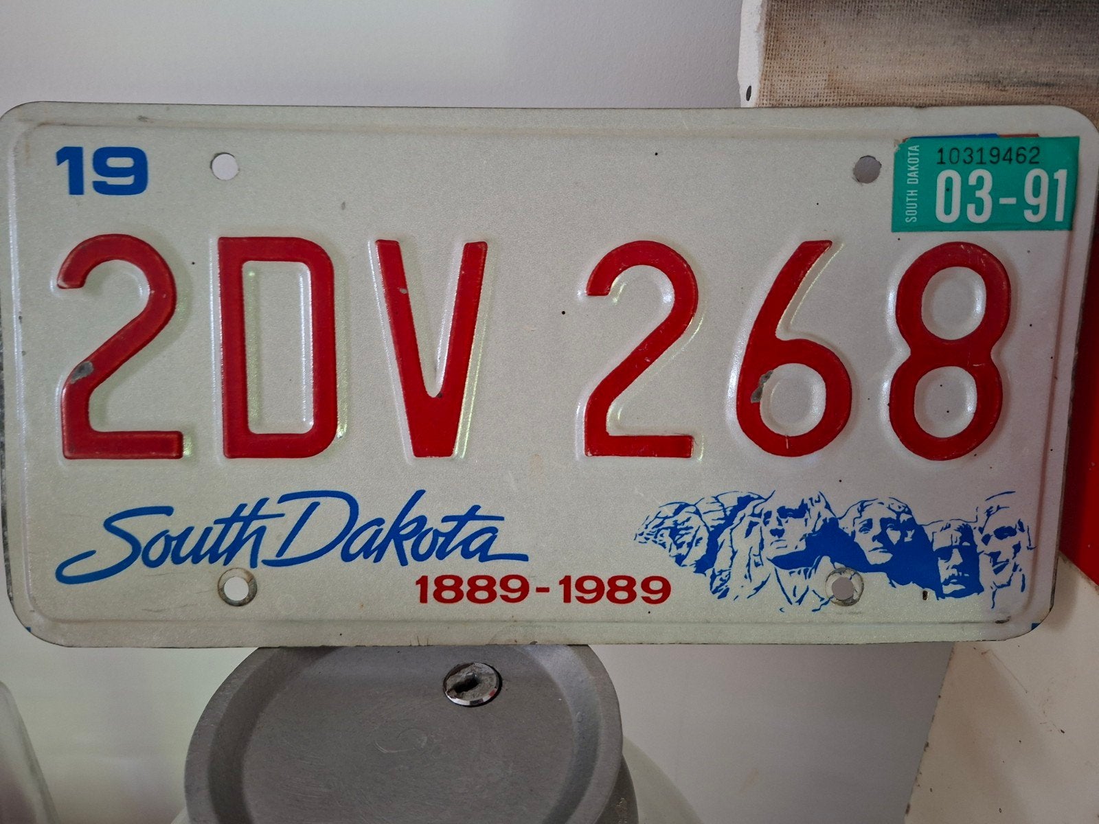 Vintage kentekenplaat South Dakota 1989, Ophalen, Gebruikt