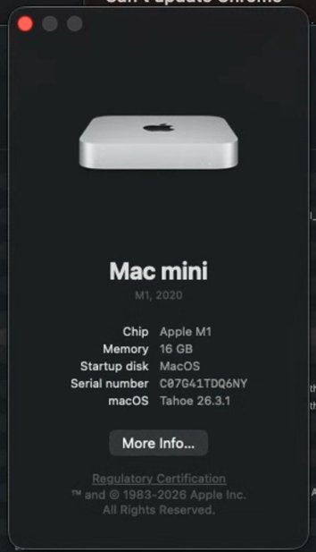 Mac mini m1 16GB en SSD 256GB, Computers en Software, Apple Desktops, 256 GB, SSD, Ophalen of Verzenden, Zo goed als nieuw