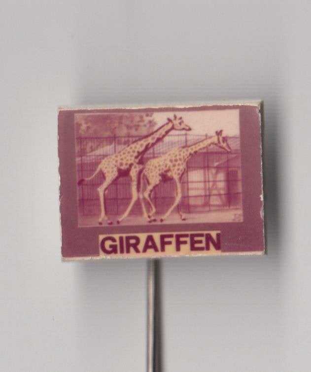 Dier Giraffe Giraffen speldje, Verzamelen, Speldjes, Pins en Buttons, Gebruikt, Speldje of Pin, Overige onderwerpen, Ophalen of Verzenden