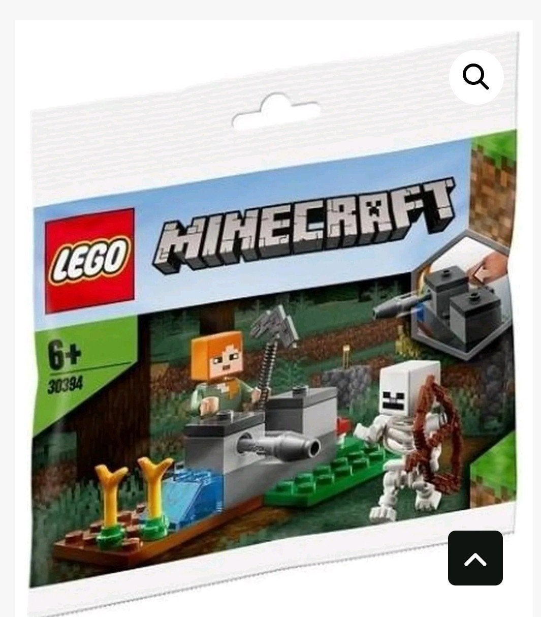compleet, Lego Minecraft De skeletverdediging 30394, Kinderen en Baby's, Speelgoed | Duplo en Lego, Compleet, Minecraft, Lego