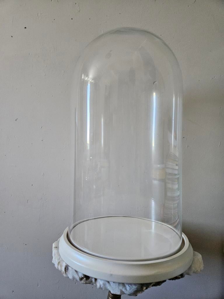 Luxe XXL Glazen Stolp met Voet - Perfect voor Decoratie, Ophalen, Zo goed als nieuw