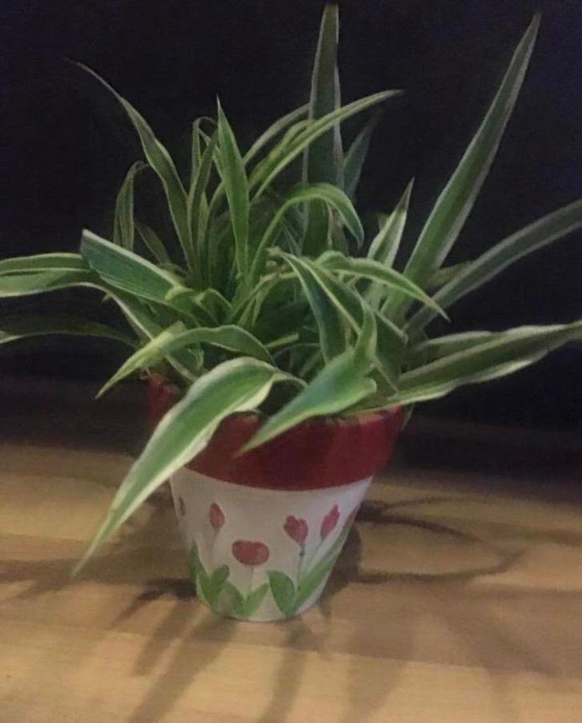 Terracotta mini bloempot met biologische Graslelie, Tuin en Terras, Bloempotten, Zo goed als nieuw, Terracotta, Binnen, Minder dan 40 cm
