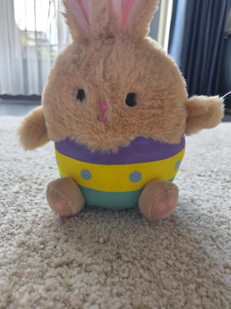 Pasen konijn knuffel, Ophalen of Verzenden, Meerkleurig, Klein (minder dan 20 cm), Konijn