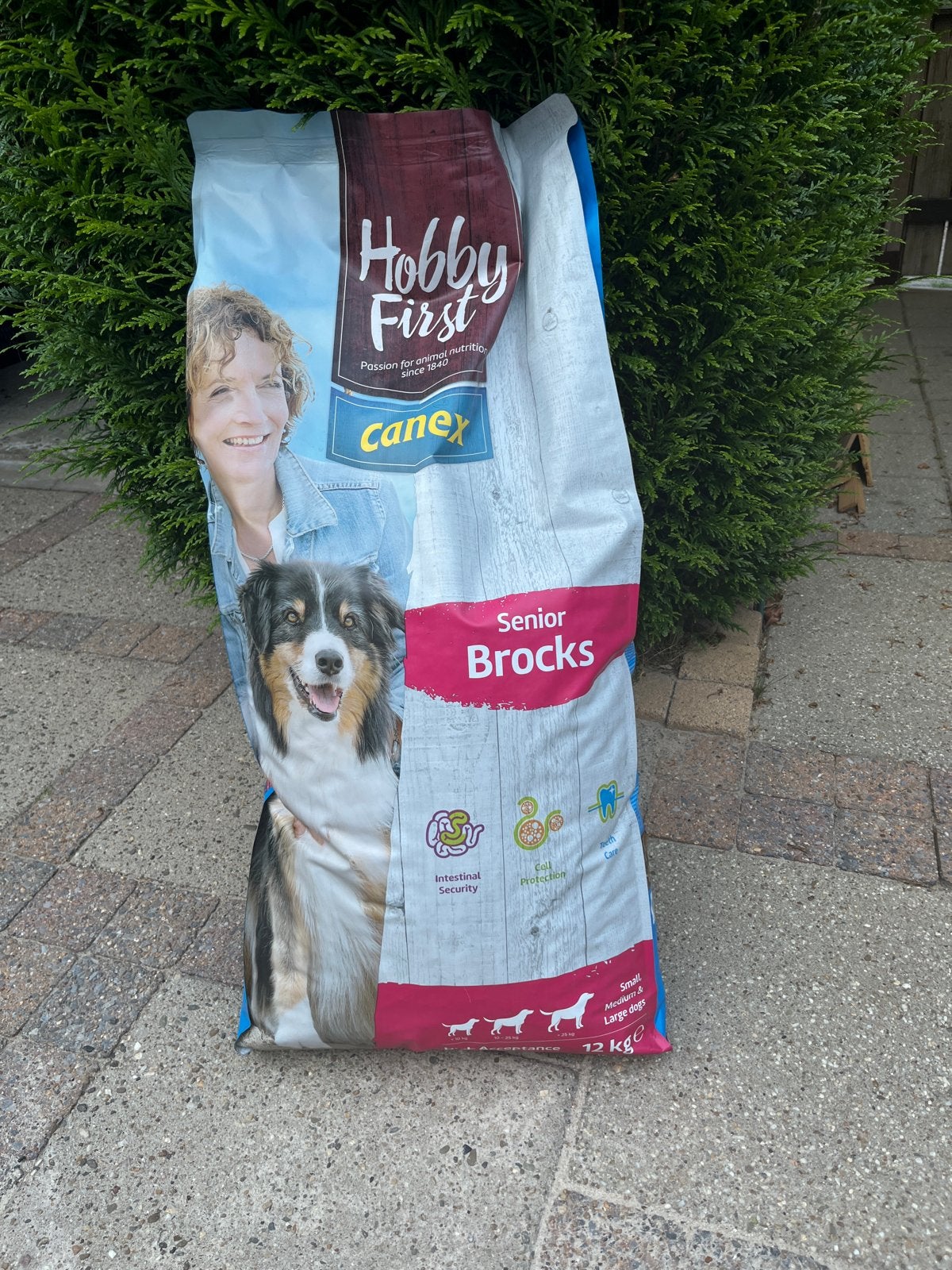 Honde brokken, Ophalen, Hond