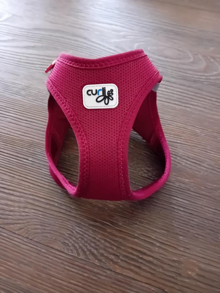 Hondentuigje Curli Ruby red, Ophalen of Verzenden, Zo goed als nieuw, Hondenriem-accessoire