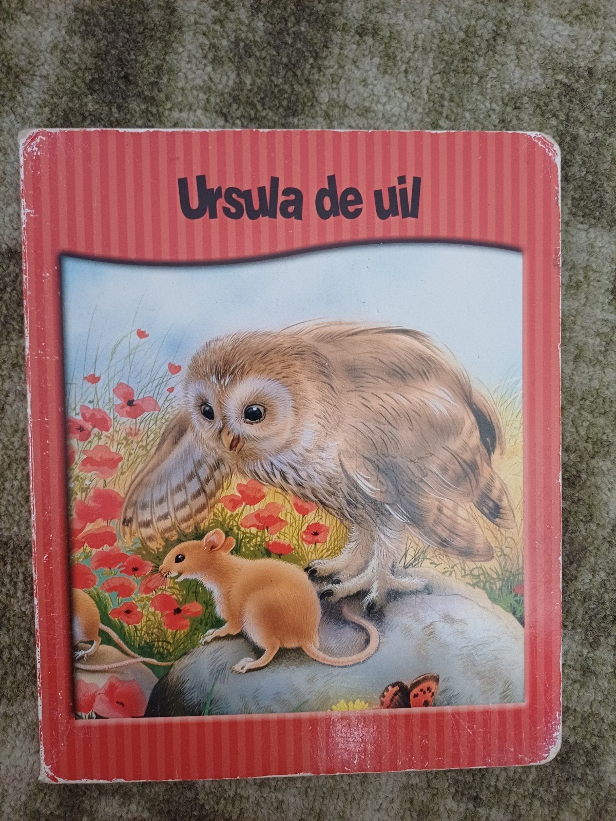 Ursula de Uil - Prentenboek voor Kinderen, Ophalen of Verzenden, Gelezen, Catherine Salembier, 2 tot 3 jaar