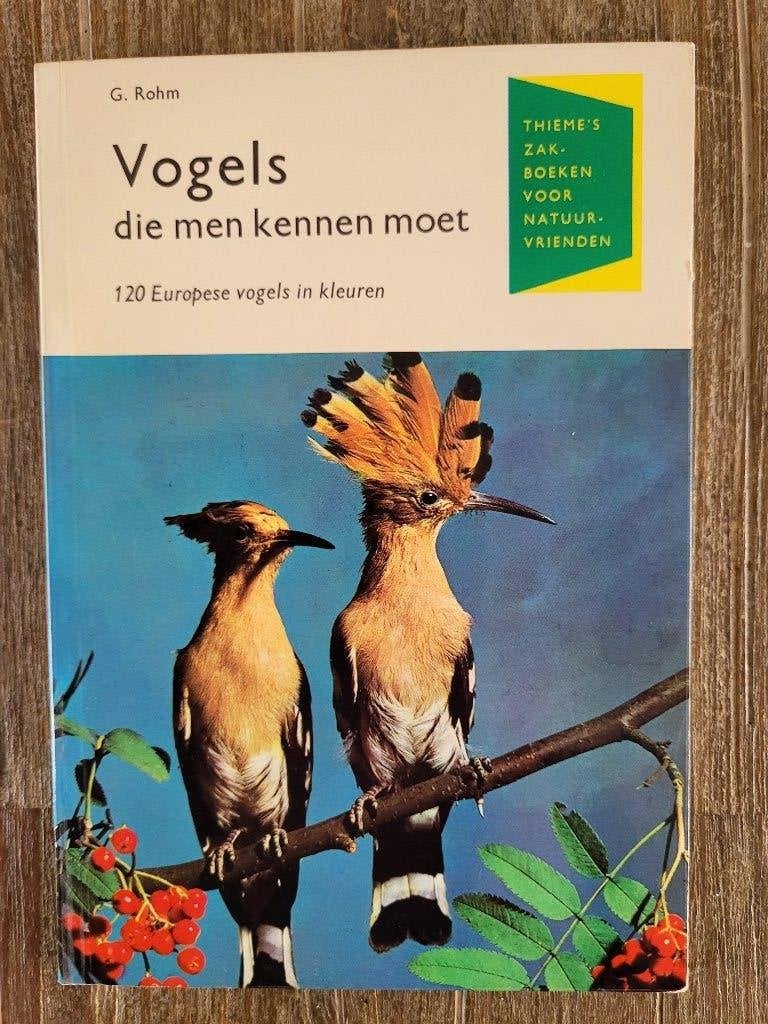 Vogels die men kennen moet - G. Rohm, Ophalen of Verzenden, Vogels, G. Rohm, Zo goed als nieuw
