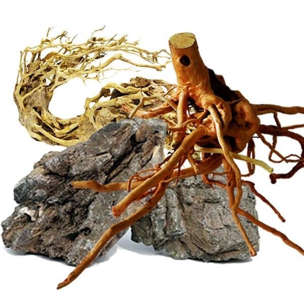 Aquascape, Ophalen, Nieuw, Plant(en), Steen of Hout