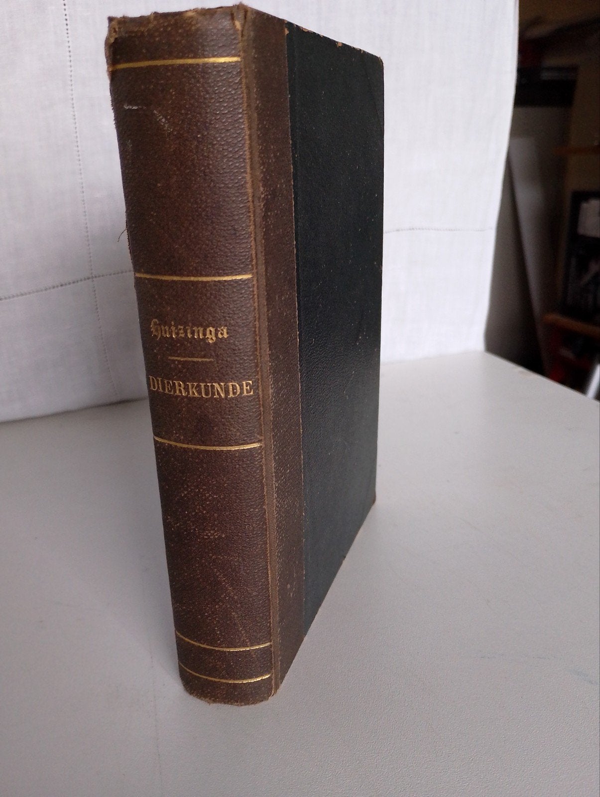 Dierkunde voor Eerstbeginnenden - S.P. Huizinga (1882), Ophalen of Verzenden, Gelezen, Overige onderwerpen, S.P. Huizinga