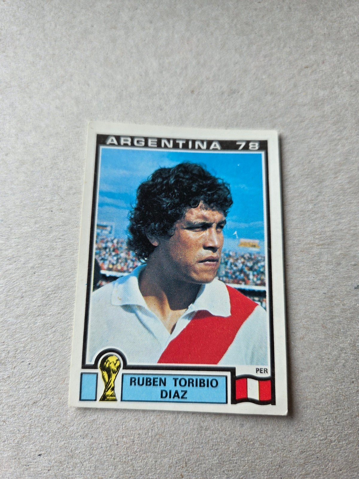 Panini WK 78, Ophalen of Verzenden, Zo goed als nieuw, Sticker