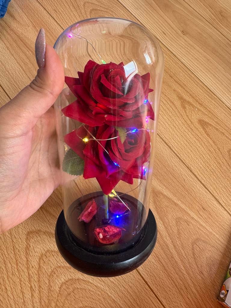 Betoverende Rode Rozen onder Glazen Stolp met LED, Ophalen of Verzenden, Zo goed als nieuw, Modern, Glas