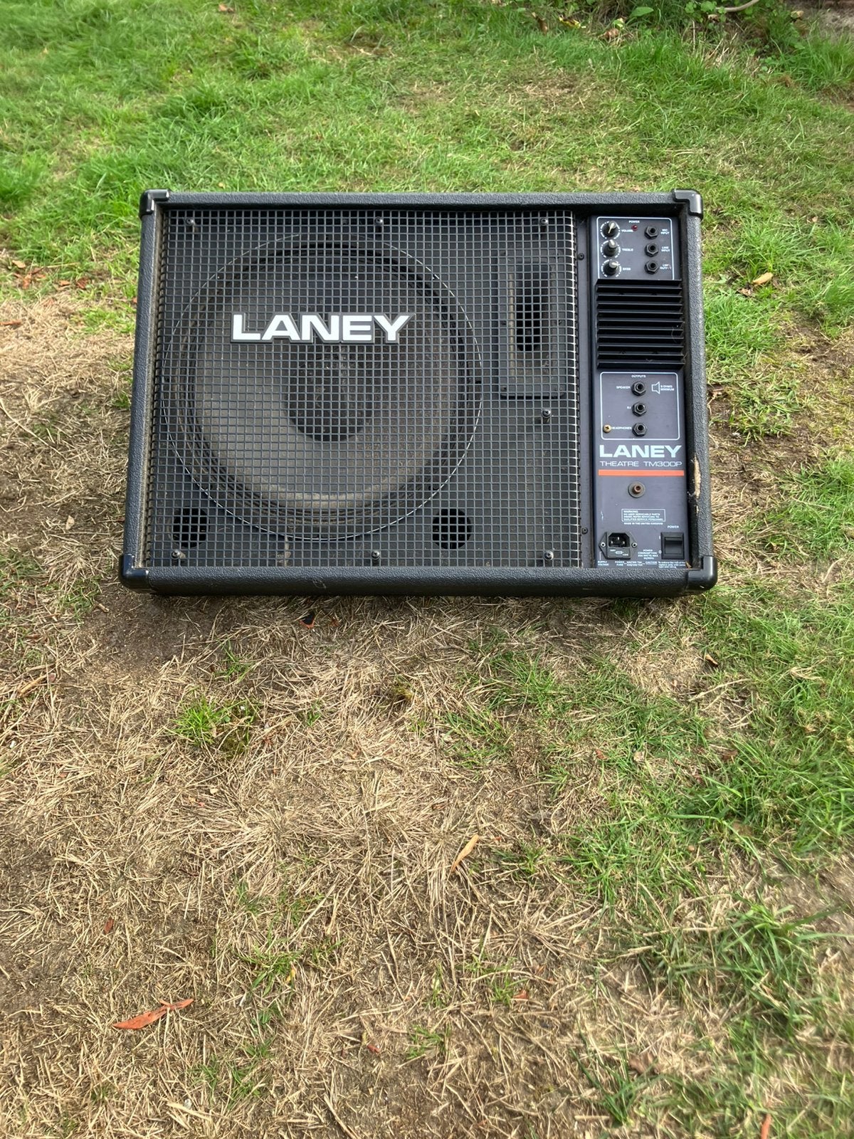 Laney Theatre TM300P actieve monitor / PA speaker, Ophalen, Zo goed als nieuw, Minder dan 500 watt, Monitor(versterker)