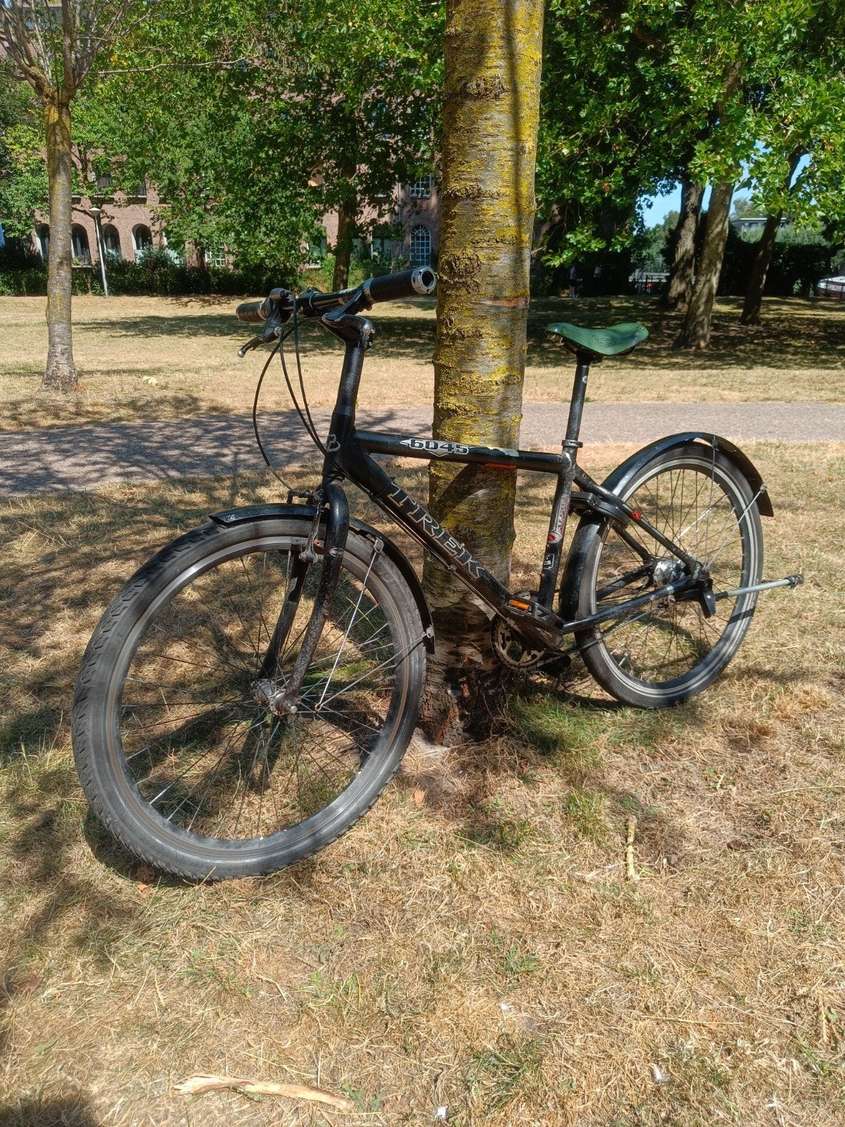 Trek 7-speed mountainbike met Brooks zadel en handvatten, Gebruikt, Geen vering, Trek, Ophalen