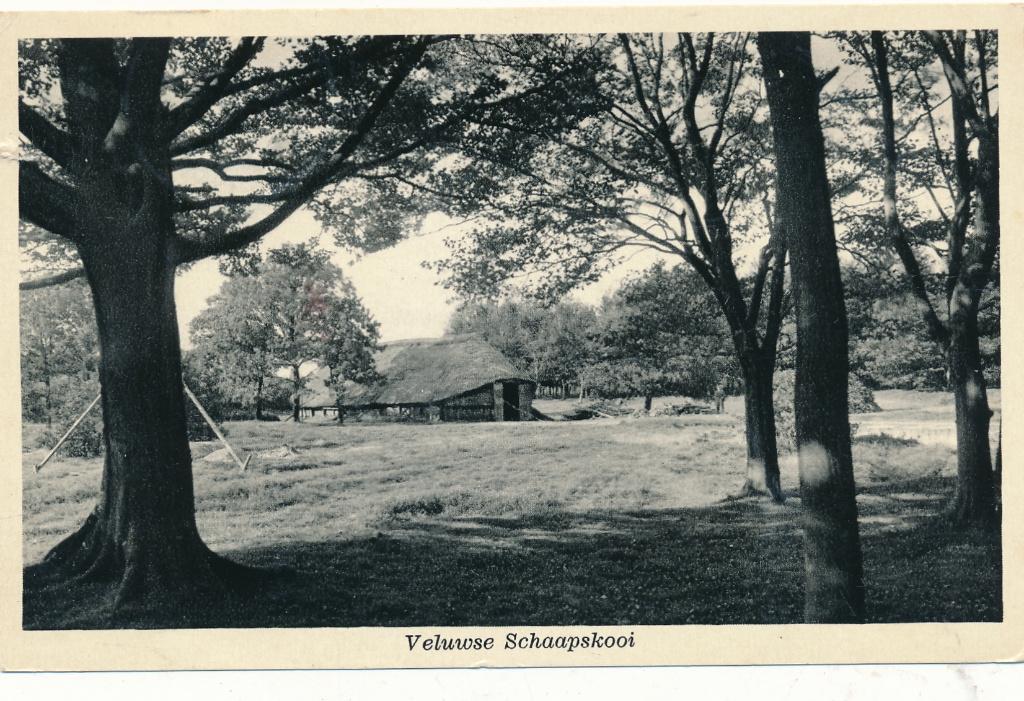 9662 Veluwse Schaapskooi, Verzamelen, Ophalen of Verzenden, 1940 tot 1960, Gelderland
