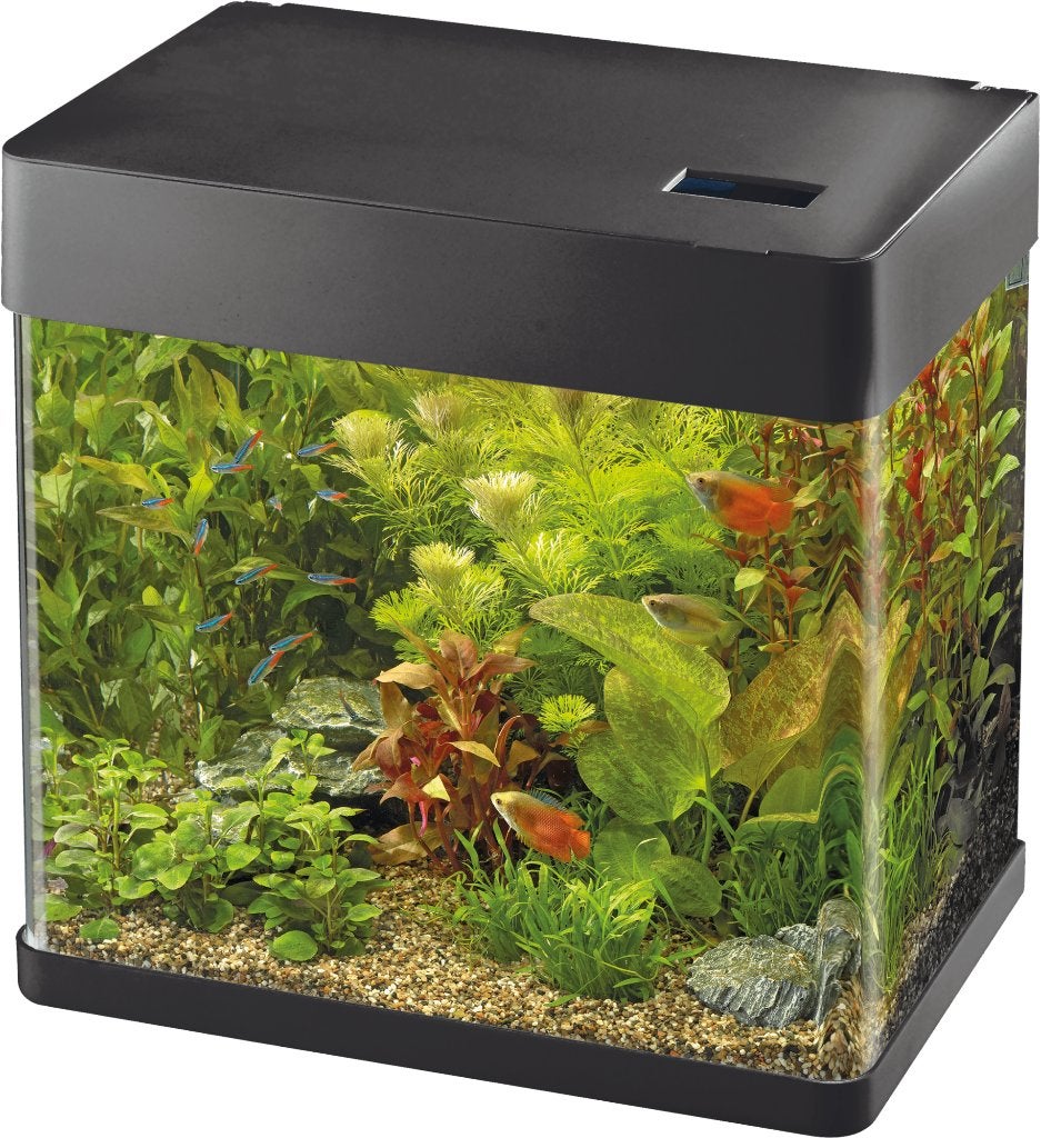 SuperFish aquarium Panorama, Ophalen, Nieuw, Leeg aquarium, Superfish