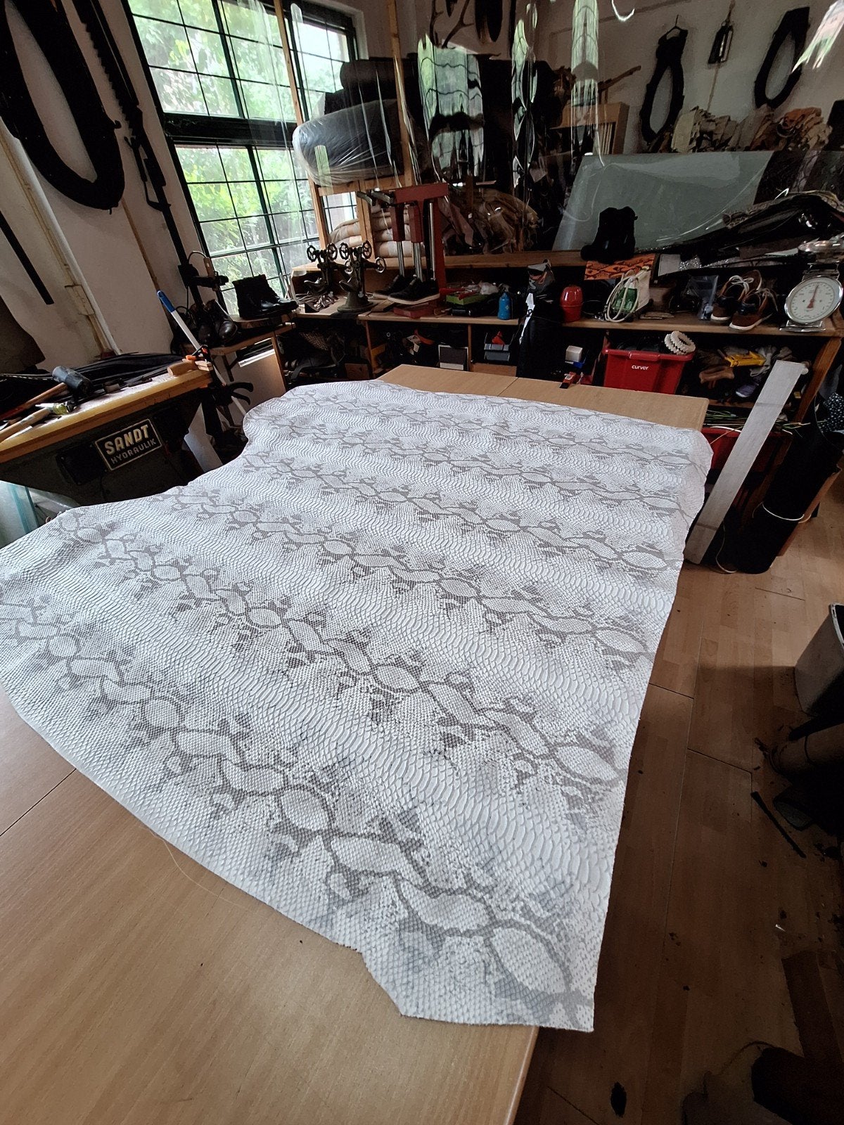Reptiel, python, AA,zeer mooie huid., Overige kleuren, 120 cm of meer, Leer of Kunstleer, Nieuw
