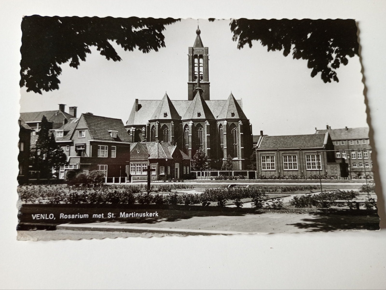 Venlo Rosarium met St. Martinuskerk, Ophalen of Verzenden, 1940 tot 1960, Ongelopen, Limburg
