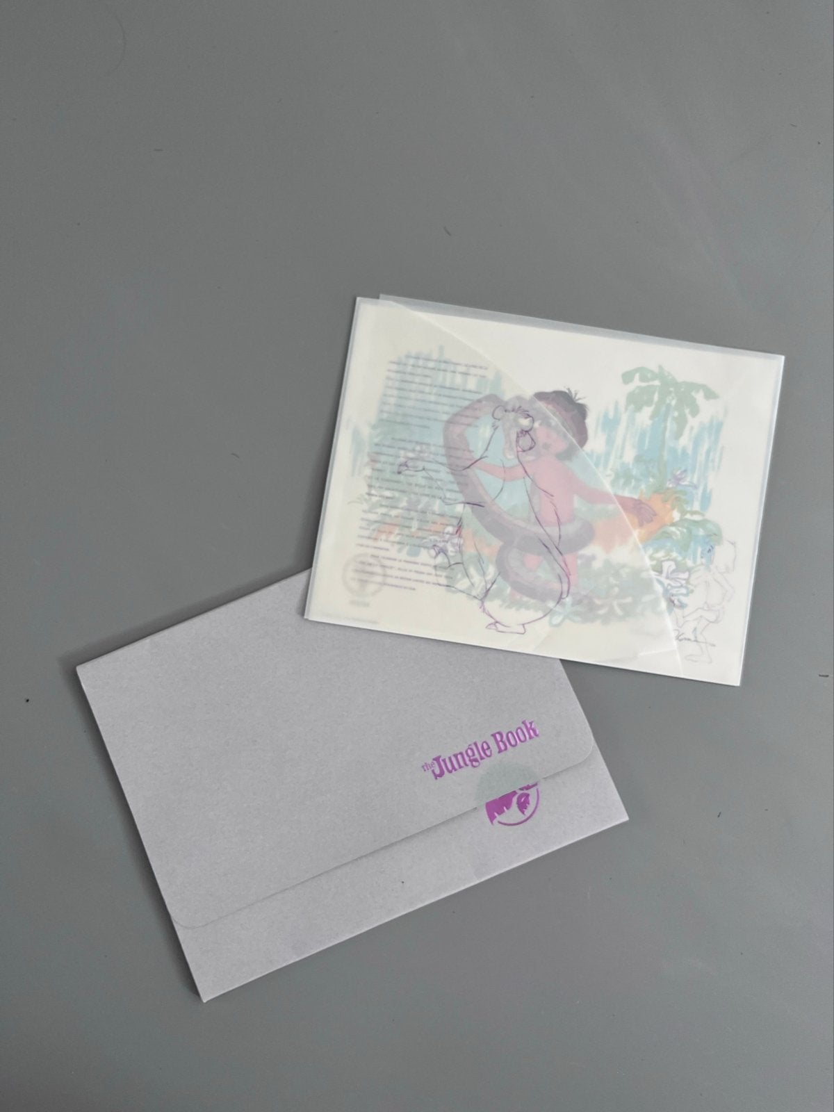 Disney Jungle Book Litho - Mowgli en Kaa (34x25 cm), Antiek en Kunst, Ophalen of Verzenden, Print, Lithografie
